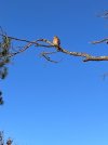 IMG_3329.jpeg