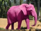 Pink-Elephant-73315-3320246889.jpg