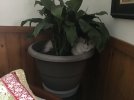IMG_3626.jpeg