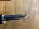 Buck-119-3.jpg
