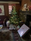 IMG_2959.jpeg