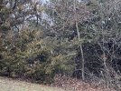 snow12-27-23.JPG