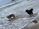 IMG_1561.jpeg