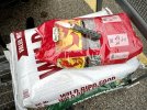 IMG_1011.jpeg