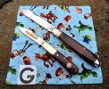 2023-12-27 WW Desert Ironwood Boker Barlow Robeson English Jack.JPG