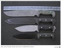 Busse SHSH.jpg