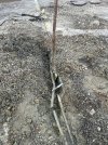 IMG_9594.jpeg