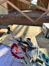 IMG_1954.jpeg