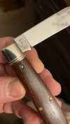 IMG_7920.jpeg