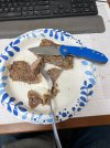 IMG_5029.jpeg