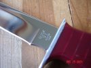 DSC07340.JPG