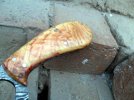 SAM_1622.jpg SAM_1622.jpg