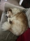 IMG_1584.jpeg