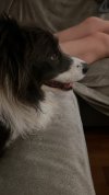 IMG_1559.jpeg