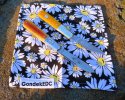 2023-12-29 GEC15 Boker Barlow Golden.JPG