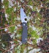 Para3Close.jpg