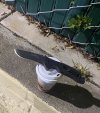 IMG_0838.jpeg