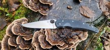 20231230_SpydieOpusFungi.jpg