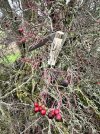 IMG_8306.jpeg