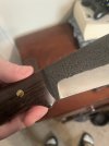 IMG_7797.jpeg