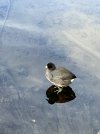 IMG_0856.jpeg