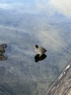 IMG_0851.jpeg