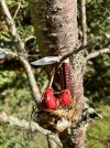 IMG_8315.jpeg