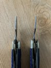 IMG_0879.jpeg