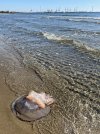 IMG_0291.jpeg