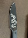 IMG_0255.jpeg