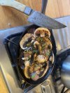 IMG_3626.jpeg
