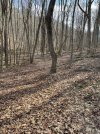 IMG_6868.jpeg