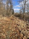 IMG_6870.jpeg