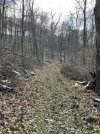 IMG_6875.jpeg