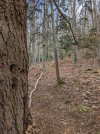 New-lower-trail-section.jpg