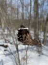 IMG_3165.jpeg