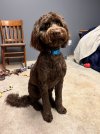 IMG_0284.jpeg