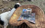 IMG_2243.jpeg