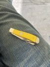 IMG_7089.jpeg
