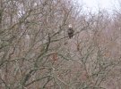 IMG_3776.JPG