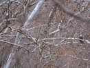 IMG_3774.JPG