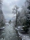 IMG_5033.jpeg
