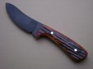 Amber Bonestag Semi-Skinner 004.jpg