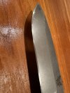 IMG_4016.jpeg