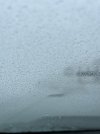 IMG_0244.jpeg