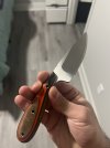 IMG_7449.jpeg