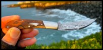 IMG_1129.jpeg