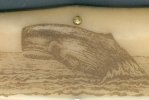 GEC Whaler 3.jpg