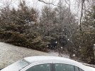 cville 1-9-24 1.JPG