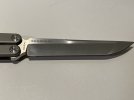 Maxace 2.JPG